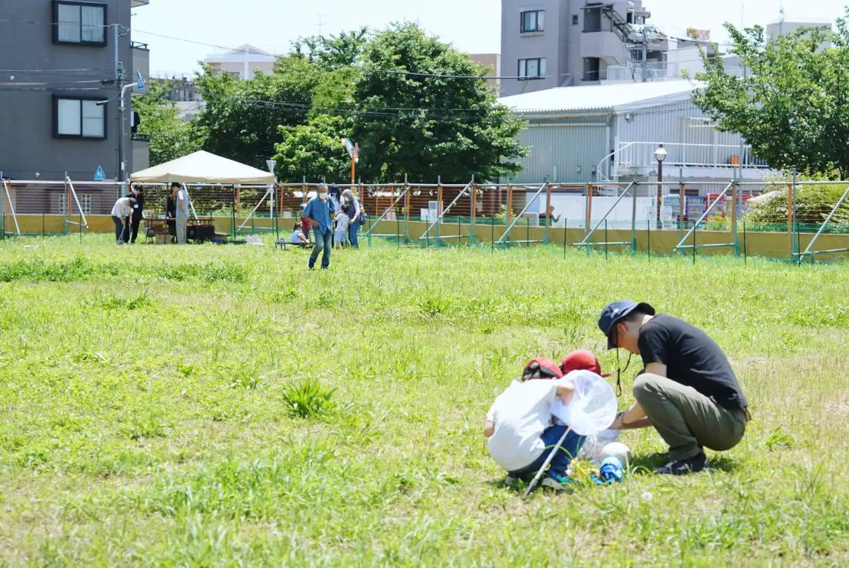 初夏の原っぱで遊ぶ親子
