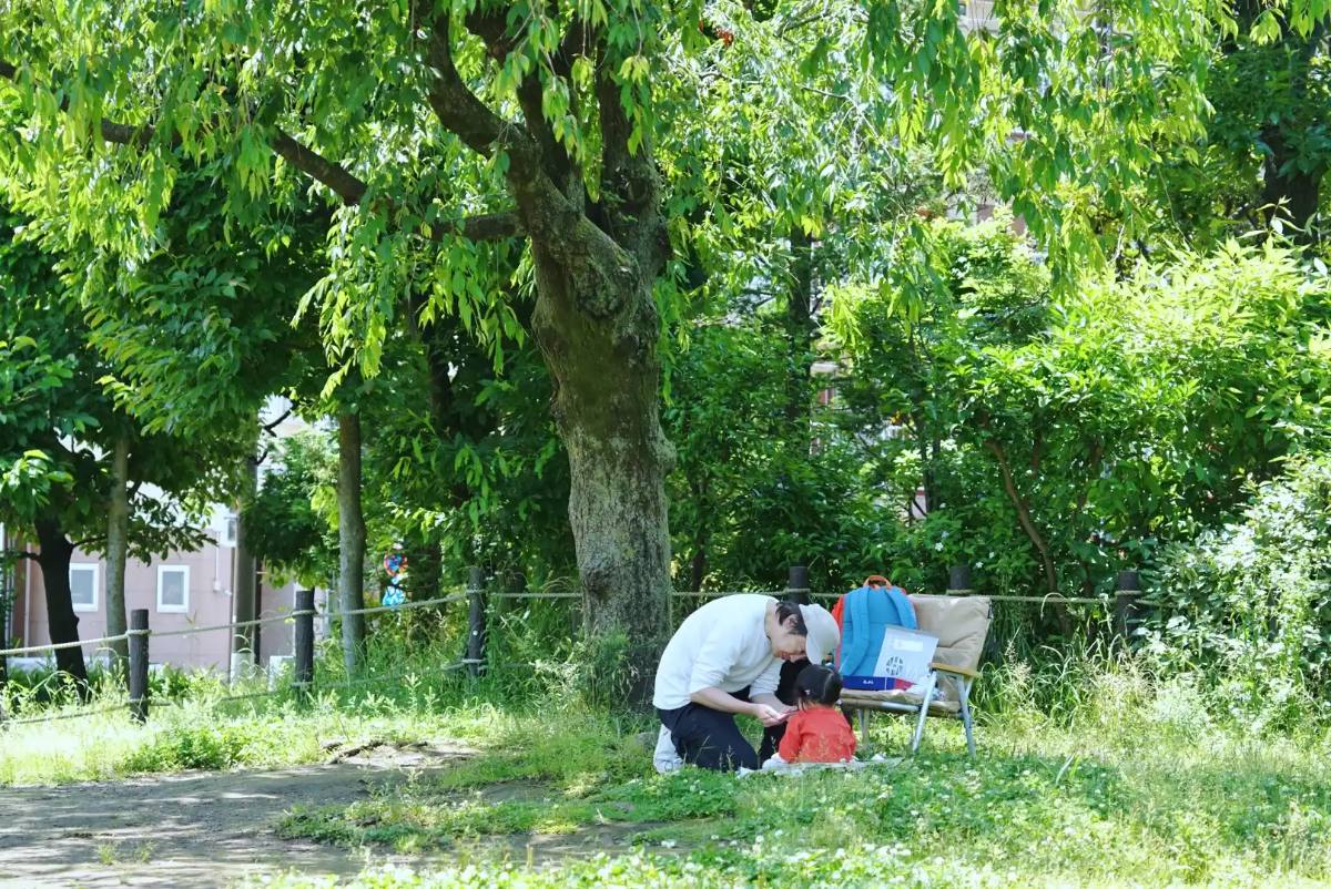 大きな木の下でひと休み