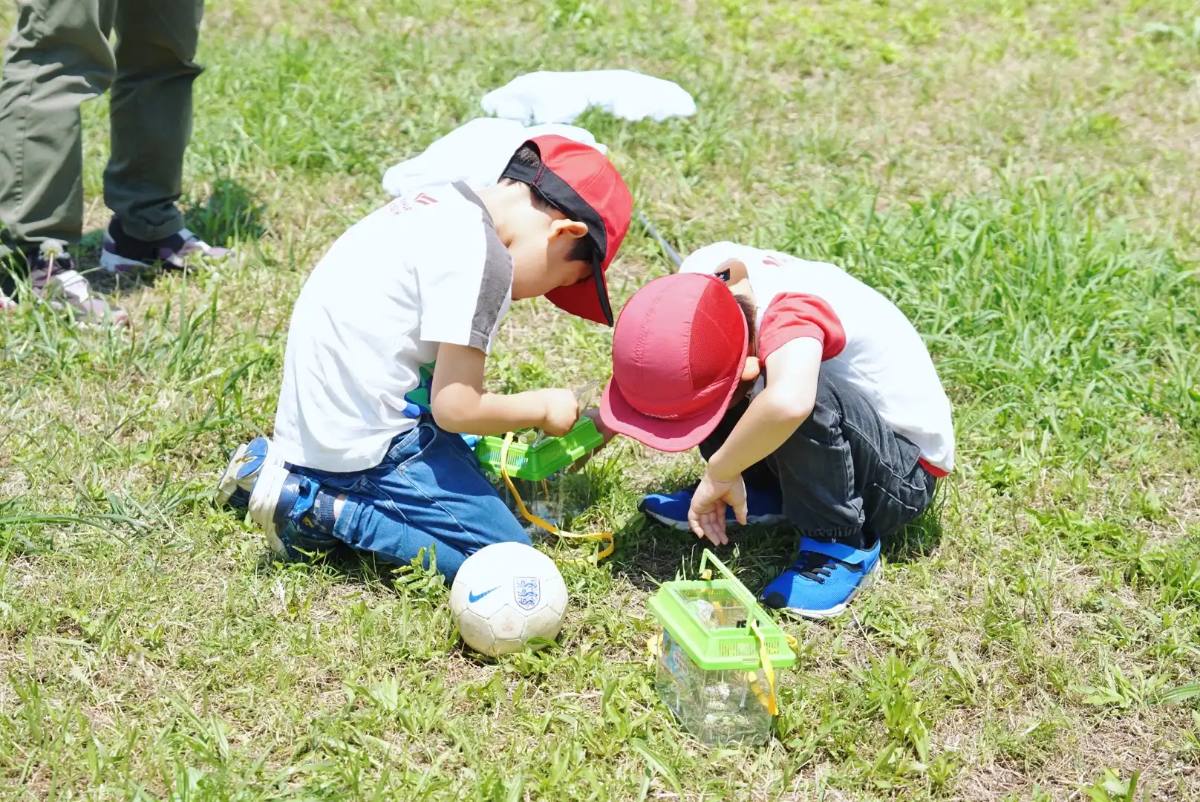 草の上で生きものを探す子どもたち