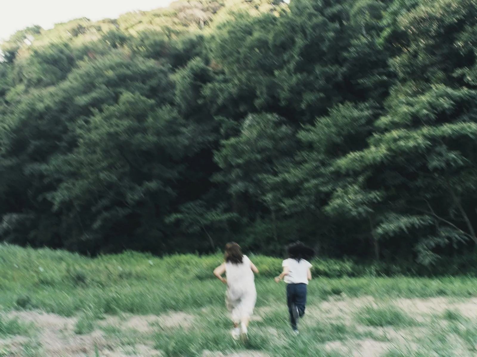 森の前の原っぱを駆けだす2人