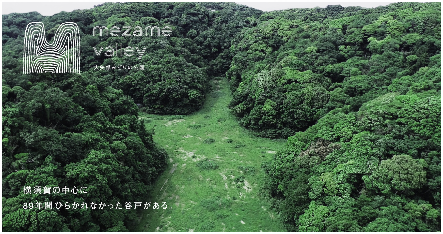 MEZAME VALLEYのロゴと緑に包まれた大矢部の谷戸